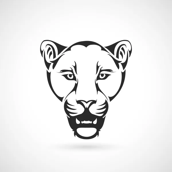 Panther head — Stock Vector