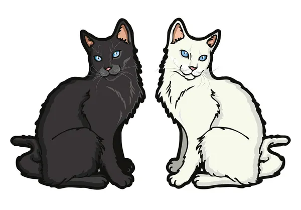 Красивая черно-белая кошка — стоковый вектор