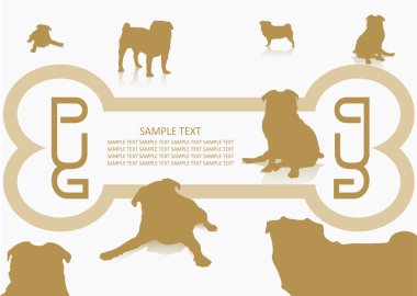 Pug köpek arka plan