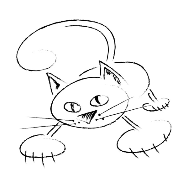 Katze, gezeichnet — Stockvektor