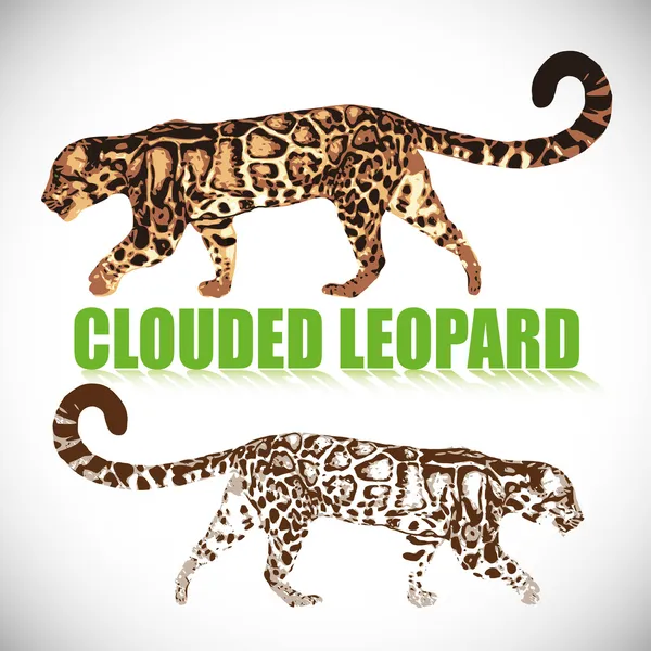 Leopardenkatze — Stockvektor