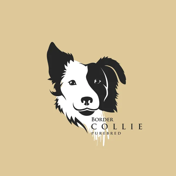 Confine Collie cane — Vettoriale Stock