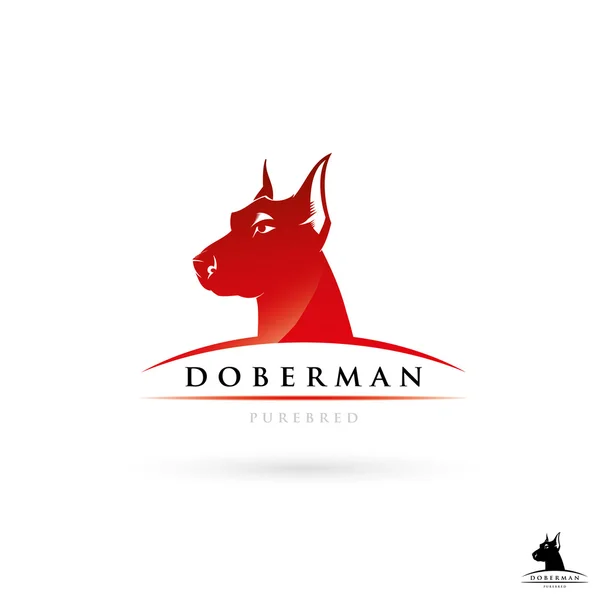 Rótulo doberman cão — Vetor de Stock