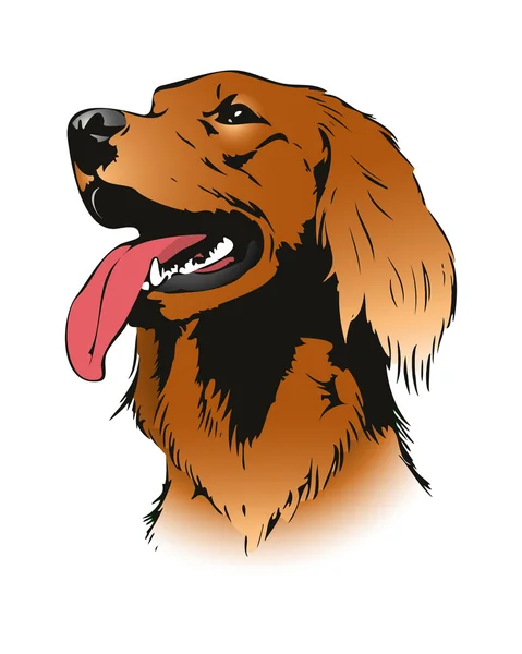 Cão cão cão de caça irlandês —  Vetores de Stock