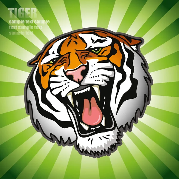 Tiger head — Stock Vector