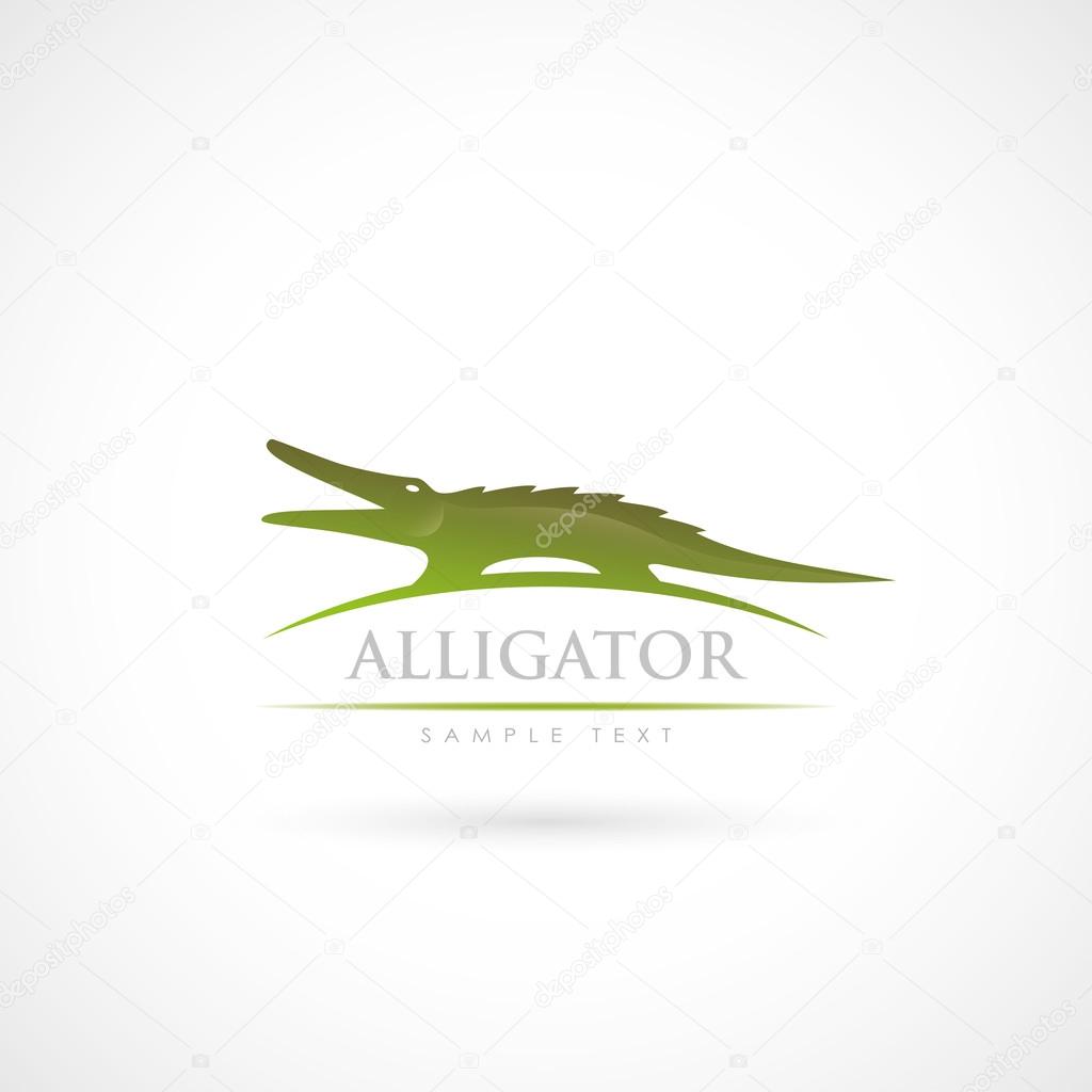 Crocodile - alligator