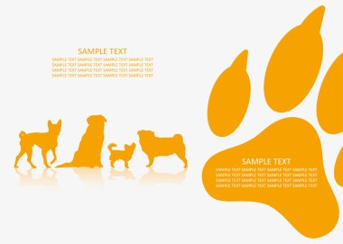 köpek ırkları arka plan