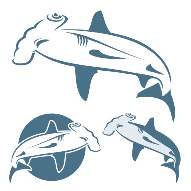 çekiç kafa köpekbalığı