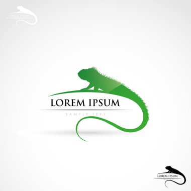 iguana etiketi