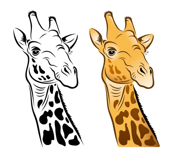 Giraffe — Stockvektor