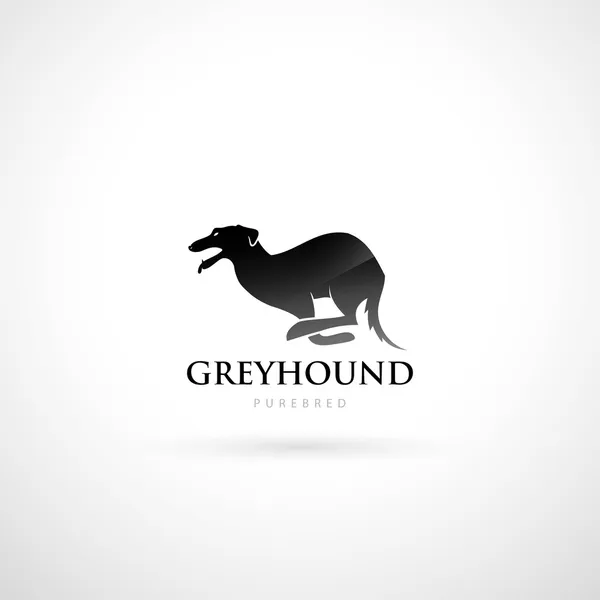 Greyhound — Stock vektor