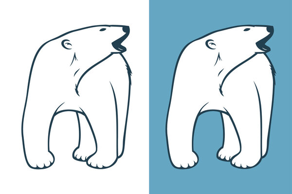 Polar bear