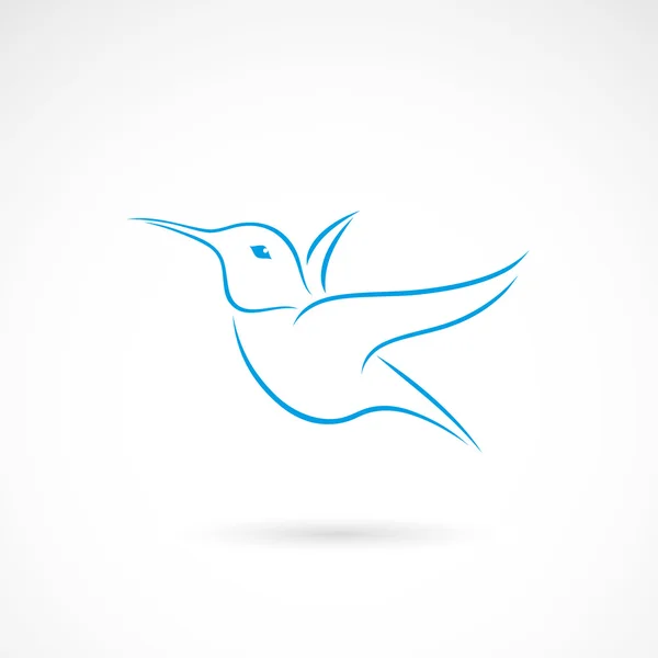 Kolibris als Symbol — Stockvektor