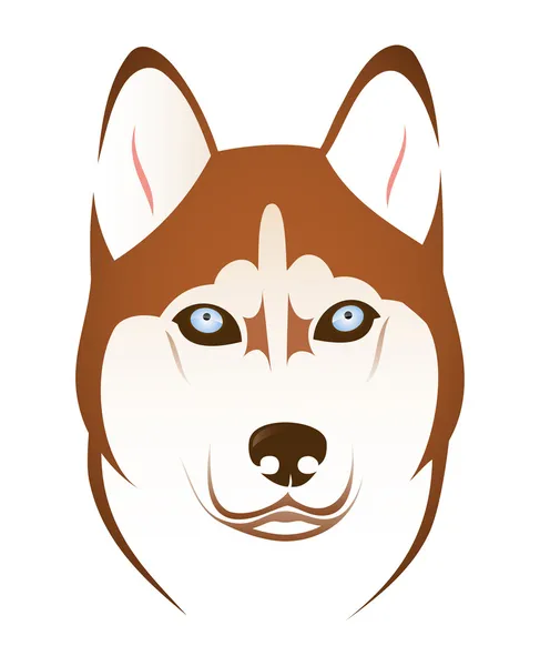 Pies Husky — Wektor stockowy