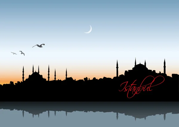 Стамбульский горизонт — стоковый вектор