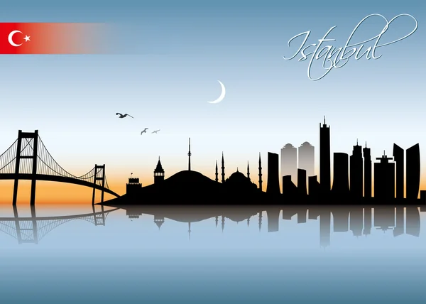 Istanbul skyline — Stock Vector