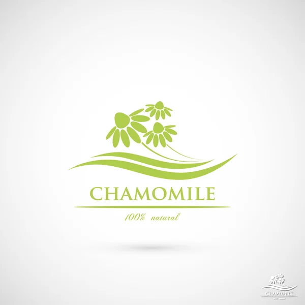 Chamomile label — Stock Vector