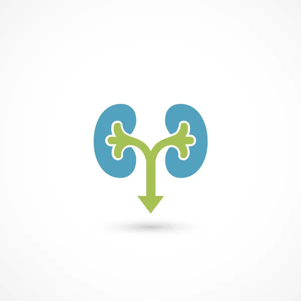 Kidneys symbol — Stock Vector