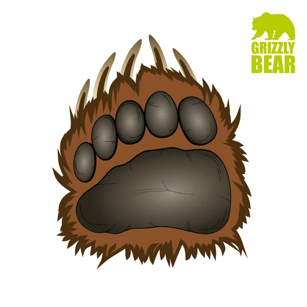 Grizzly bear paw — Stock Vector