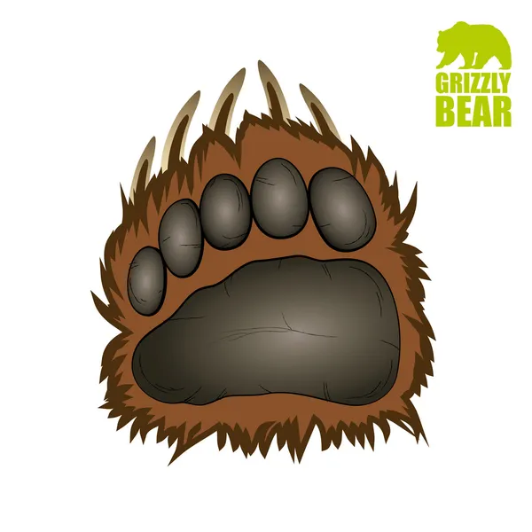 Grizzly bear paw Stock Vector