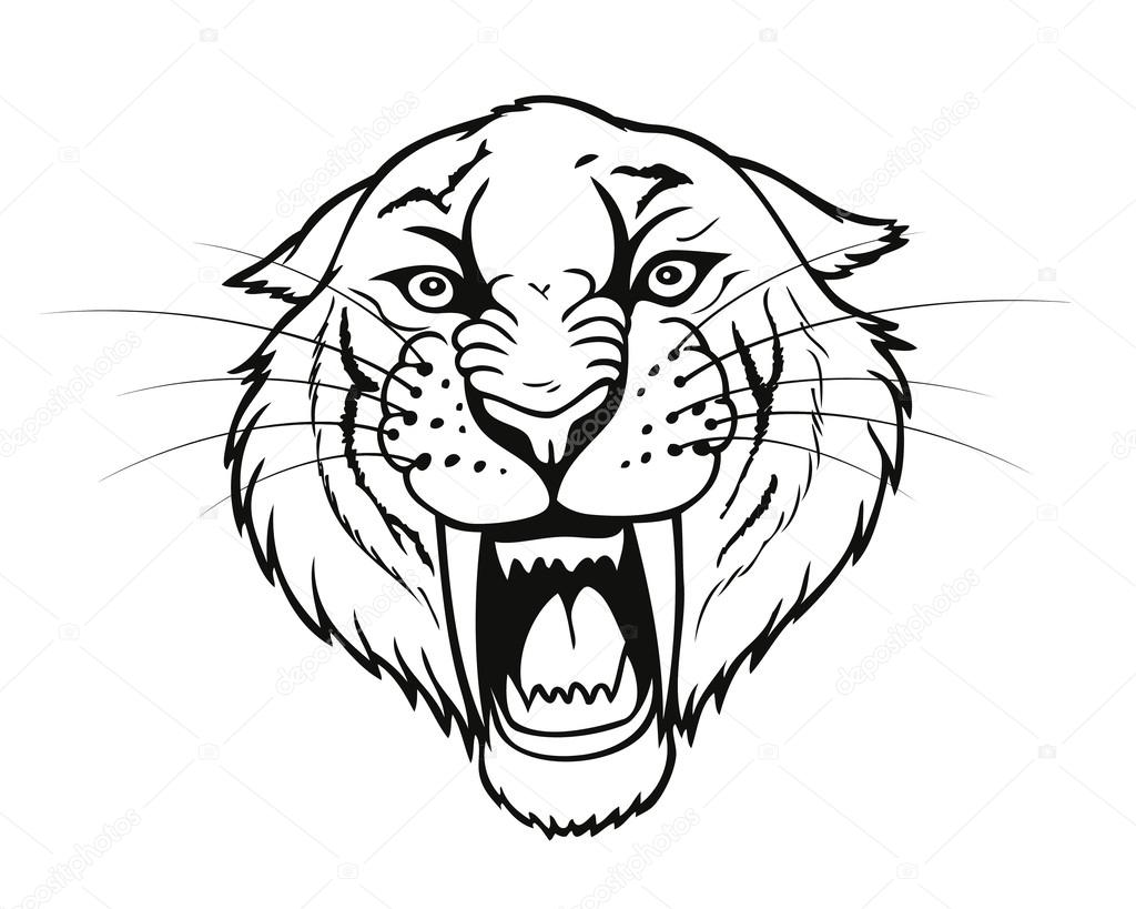 saber tooth tiger art