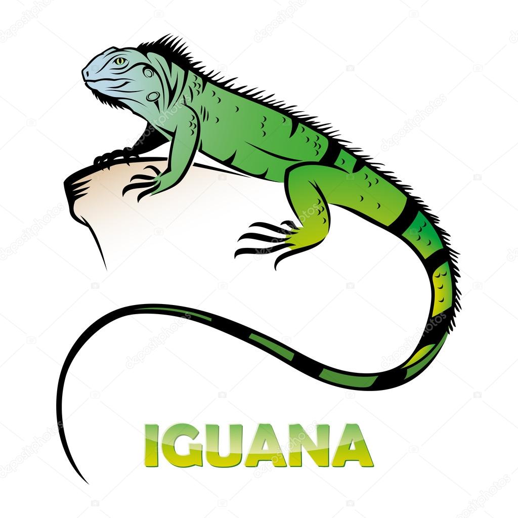 Iguana label