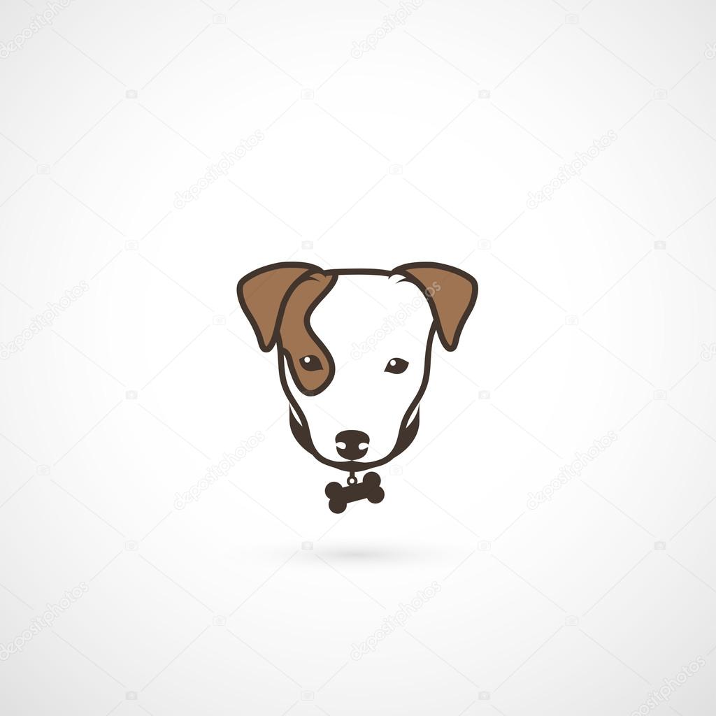 Jack Russell Terrier