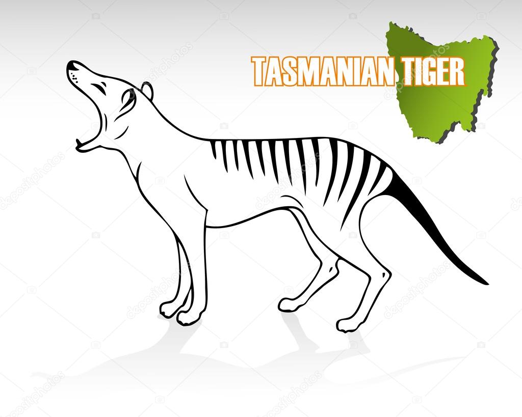 Tasmanian Tiger Coloring Page Clipart Best vrogue.co
