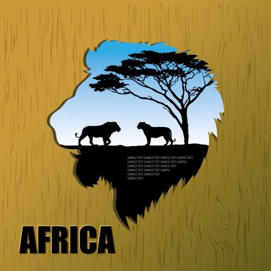 Afrika aslanları arka plan