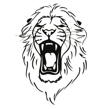 Lion head vector Lion head vector