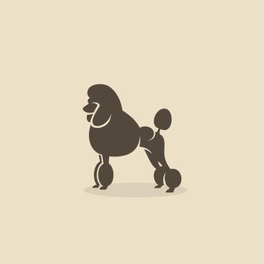 kaniş köpek