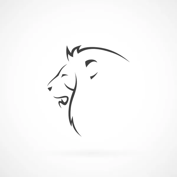 Tête de lion — Image vectorielle