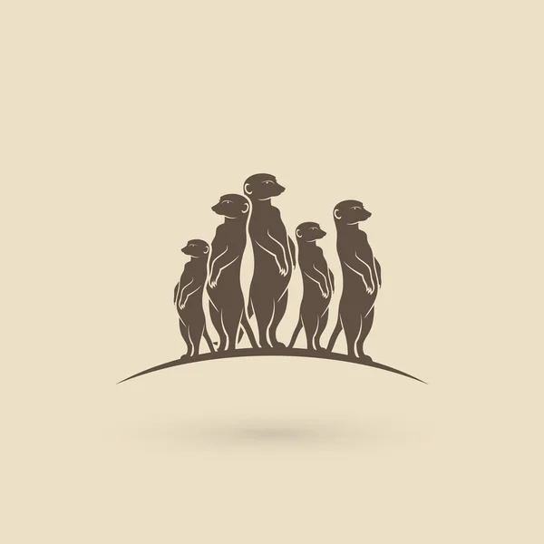 Meerkat. — Vector de stock