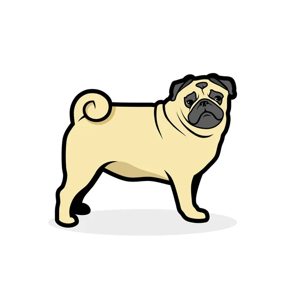 ป้ายสุนัข Pug — ภาพเวกเตอร์สต็อก