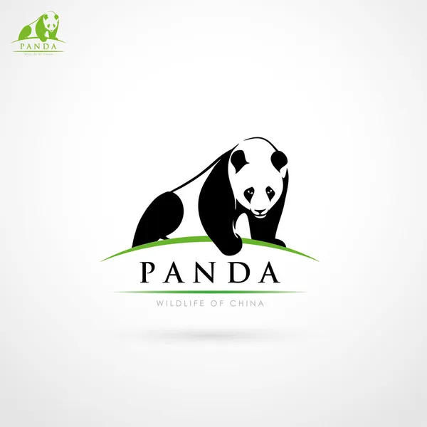 Giant panda — Stock Vector