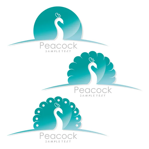 Pavo real — Vector de stock