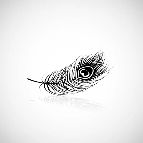 Pluma de pavo real — Vector de stock