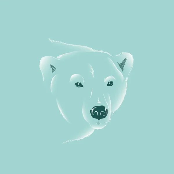 Polar bear — Stock Vector