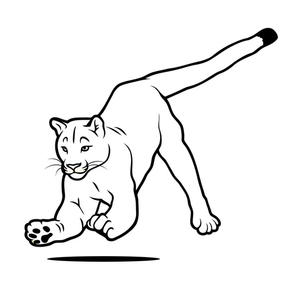 Cougar Stock Vector by ©I.Petrovic 46549245