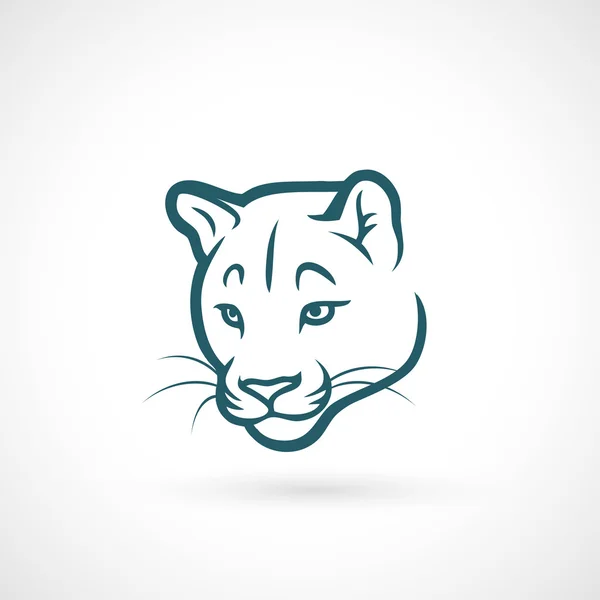 Puma — Stockvektor