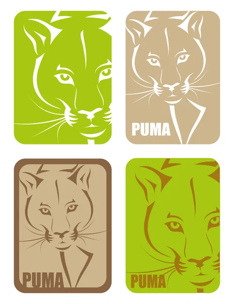 Puma — Stok Vektör