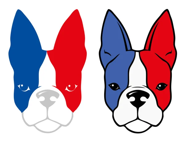 牛头犬与法国国旗的颜色 — 图库矢量图片