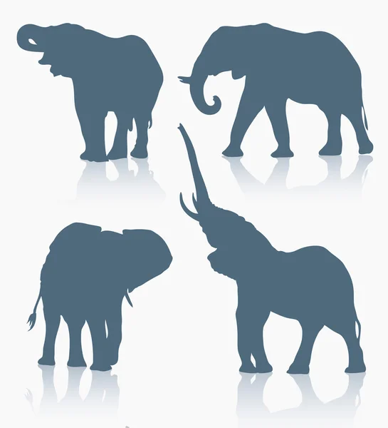Conjunto de silhueta de elefante — Vetor de Stock