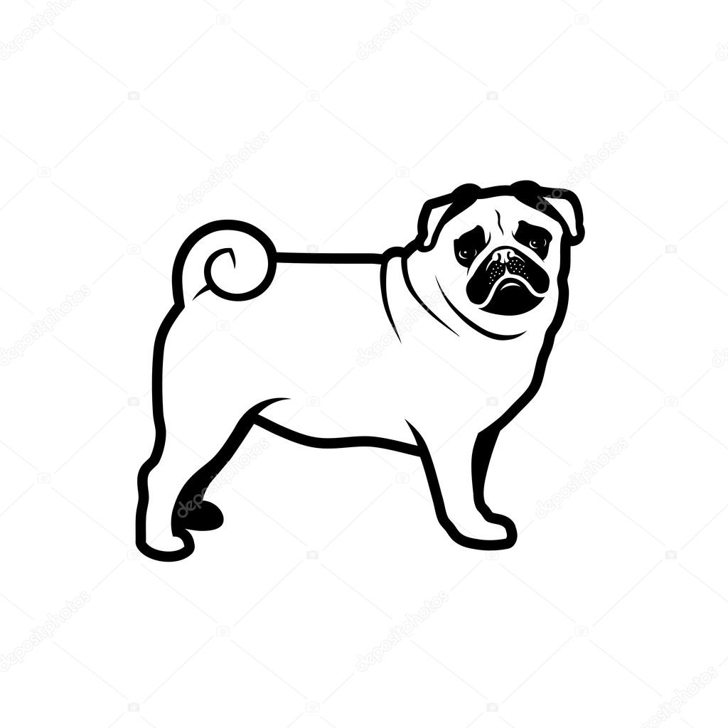 Pug dog label