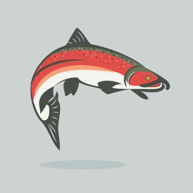 Salmon fish clipart
