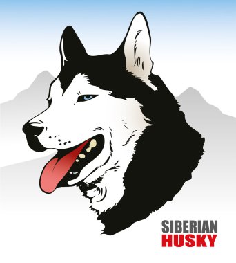 Siberian dış yapraklar