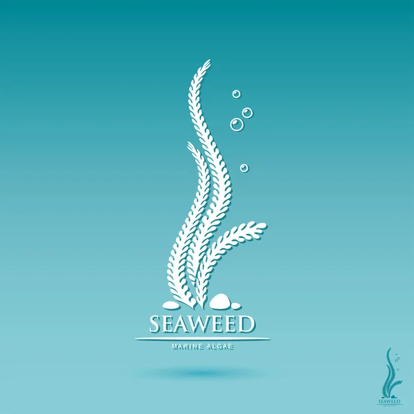 Seaweed label — Stock Vector