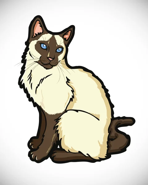 Siamese katt — Stock vektor