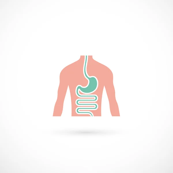 Clínica de gastroenterología — Vector de stock