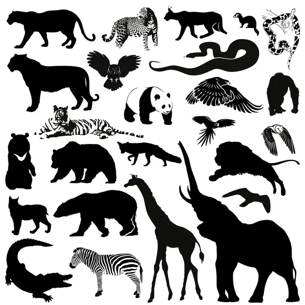 Silhouettes d'animaux sauvages — Image vectorielle